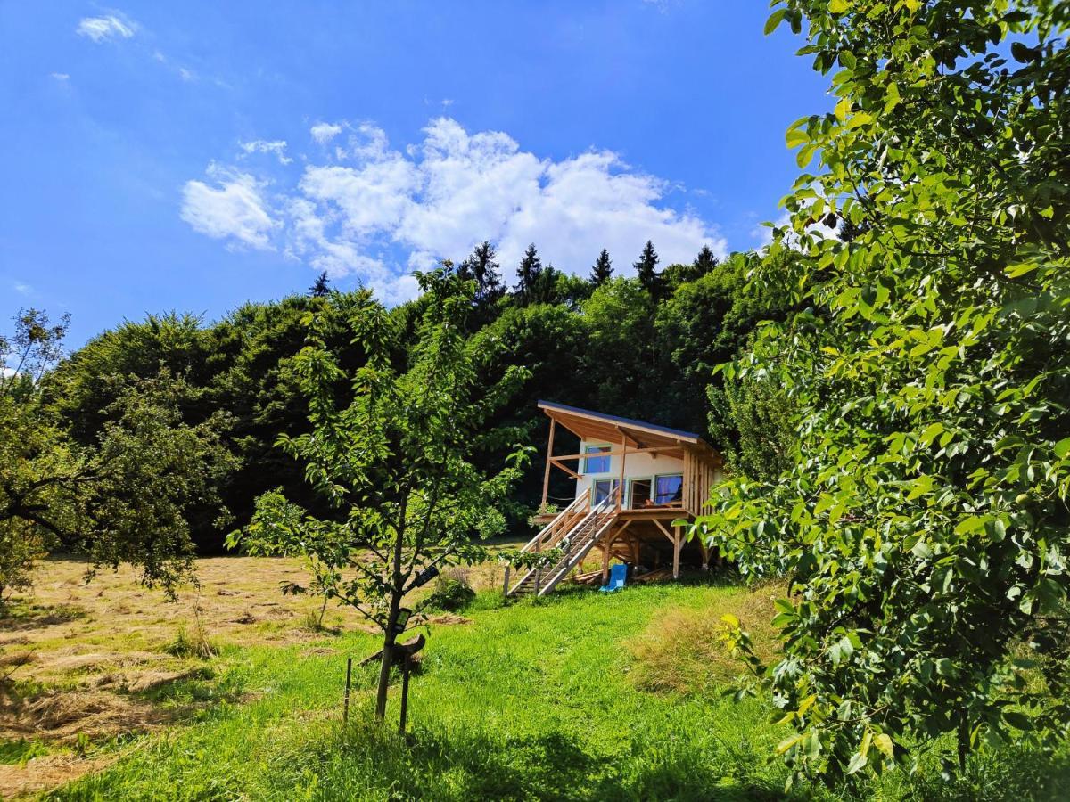 Rainbow Chalet 브란 외부 사진