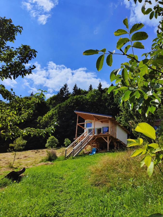 Rainbow Chalet 브란 외부 사진