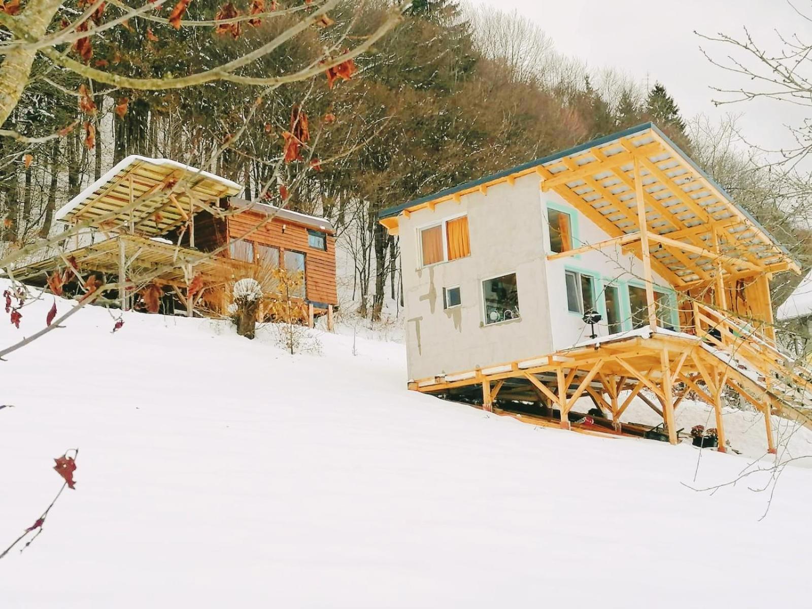 Rainbow Chalet 브란 외부 사진