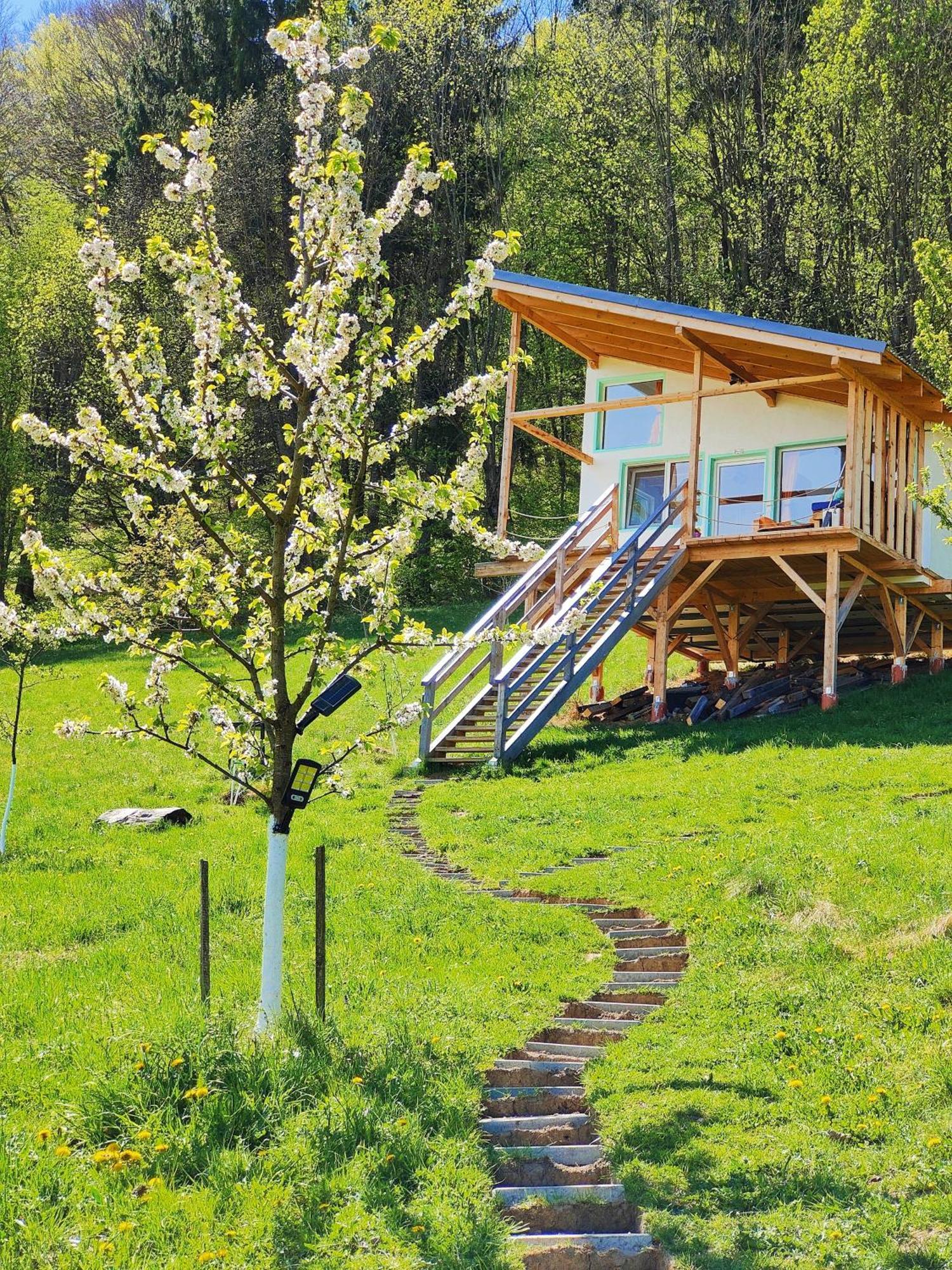 Rainbow Chalet 브란 외부 사진